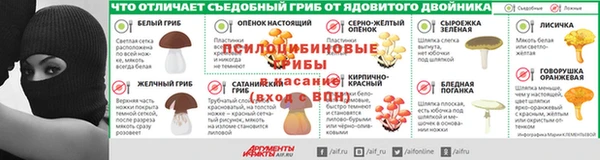 амф Алексин
