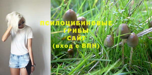 амф Алексин