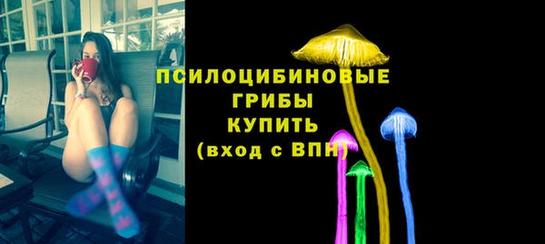 apvp Алзамай