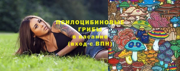 амф Алексин