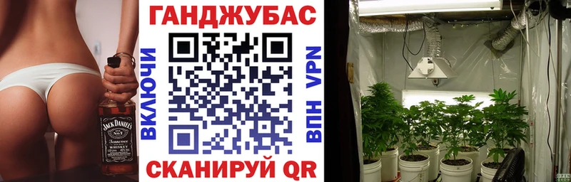 купить наркотики цена  Белозерск  Конопля семена 